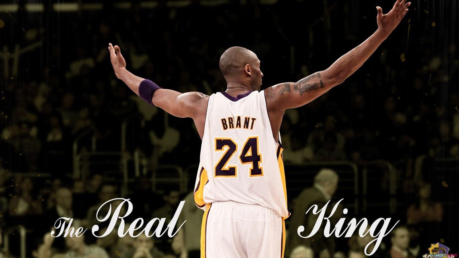 德约科维奇赛后谦逊发言登热搜，圣安东尼奥马刺鏖战利雅得新月引发热议